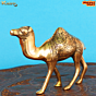 Brass camel Statue KBH08353