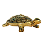 Brass Tortoise Figurine KBH08498