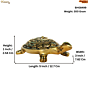 Brass Tortoise Figurine KBH08499
