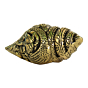Brass Lord Vishnu Small Shankh KBH08577