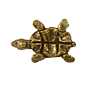 Brass Small Tortoise KBH08728