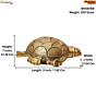 Brass Tortoise Wall Hanging Showpiece KBH08769