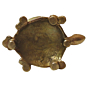 Brass tortoise Candle Stand 1 Inch KBH08804