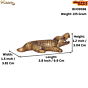 Brass Crocodile KBH09596