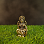 Brass Lakshmi Idol KBH09682