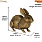 Brass Rabbit Figurine KBH09850