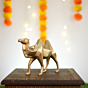 Brass Camle Statue 6 Inch KBH10003