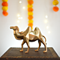 Brass Camle Statue 6 Inch KBH10003