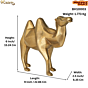 Brass Camle Statue 6 Inch KBH10003