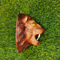 Handcrafted Leather Lion Face Showpiece BH10080