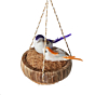 Weed Grass Birds with Nest Eco-Friendly Decorative Piece for Home & Garden KBH10104
