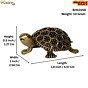 Brass Tortoise Statue KBH10150