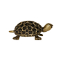 Brass Miniature Tortoise Figurine KBH10151