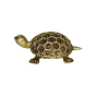 Brass Tortoise statue KBH10250