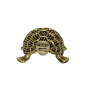 Brass Tortoise statue KBH10250