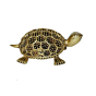 Brass Tortoise statue KBH10250