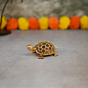 Brass Tortoise statue KBH10250
