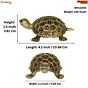 Brass Tortoise statue KBH10250