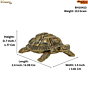 Brass Small Tortoise Figurine KBH10413