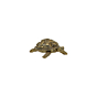 Brass Miniature Tortoise Figurine KBH10416
