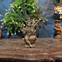 Brass Rajarajeshwari Idol  KBH10802