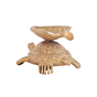Brass Tortoise Diya or Oil Lamp KBH10931