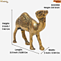Brass Camel 3 Inch KBH10958