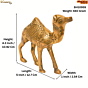 Brass Camel Statue KBH10959