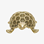 Brass Tortoise 1 Inch KBH10984