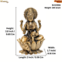 Brass lakshmi Idol KBH10996