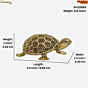 Brass Tortoise 1 Inch KBH10999