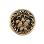 Brass Lion Door Handle KBH11276