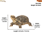 Brass Tortoise for Vastu & Feng Shui Decorative Brass Turtle Showpiece for Home Decor BH11382