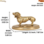 Brass Dog Statue KBH11459
