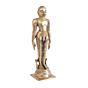 Brass Bahubali Idol  KBH11189
