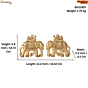 Brass Elephant Pair Wall Hanging Vastu Decorative Wall Art BH11957
