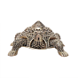 Brass Tortoise Idol for Vastu & Feng Shui BH12135