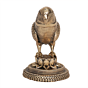 Decorative Brass Parrot Showpiece for Home Decor KBH12228