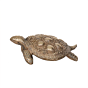 Brass Vastu Tortoise for Home Decor KBH12232