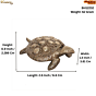 Brass Vastu Tortoise for Home Decor KBH12232