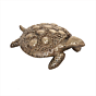 Brass Vastu Tortoise for Home Decor KBH12233