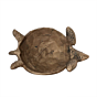 Brass Vastu Tortoise for Home Decor KBH12233
