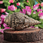 Brass Shankh with Vishnu Dashavatar Design BH12236