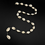Cowrie Shell Waist Chain
