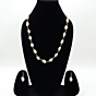 Cowrie Shell Jewelry Set