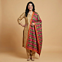 Hand-Embroidered Phulkari Chinon Dupatta | Multicolour