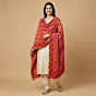 Hand-Embroidered Phulkari Cotton Dupatta | Red