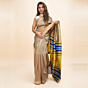 Handwoven Tussar Silk Saree with Extra Weft Design