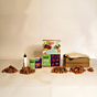 Miniature Terracotta Bricks Animal Kingdom DIY Gift Pack