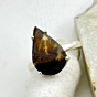 Shazar-dendritic agate Silver Ring - Size- 13- adjustable